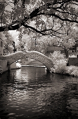 San Antonio Riverwalk 4